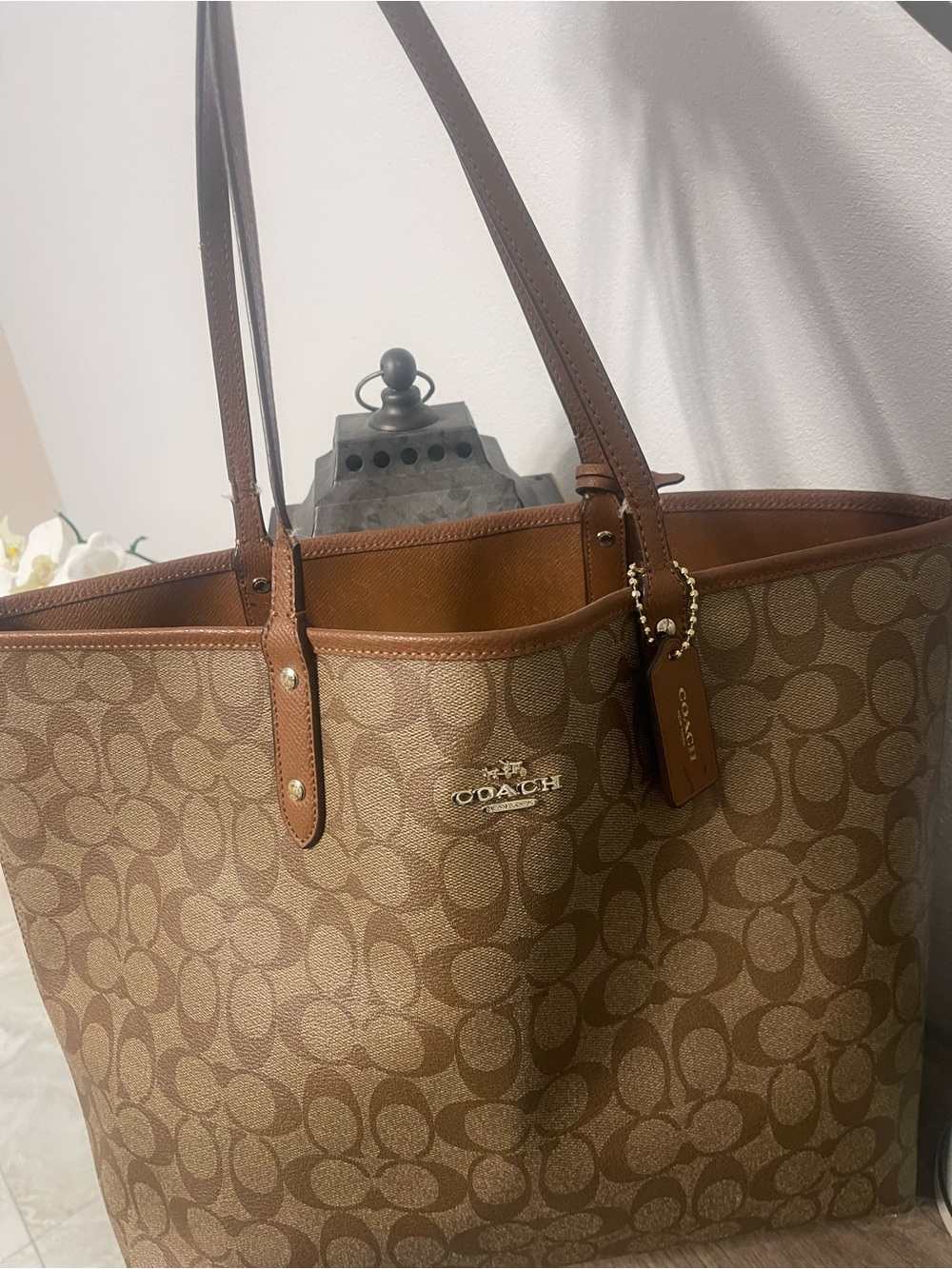 Coach Signature Canvas Tote in Brown/Tan
